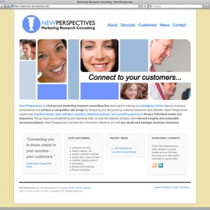 new perspectives website